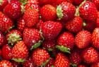 Az eper és az áfonya egészségmegőrző hatásai Az eper és az áfonya egészségmegőrző hatásai