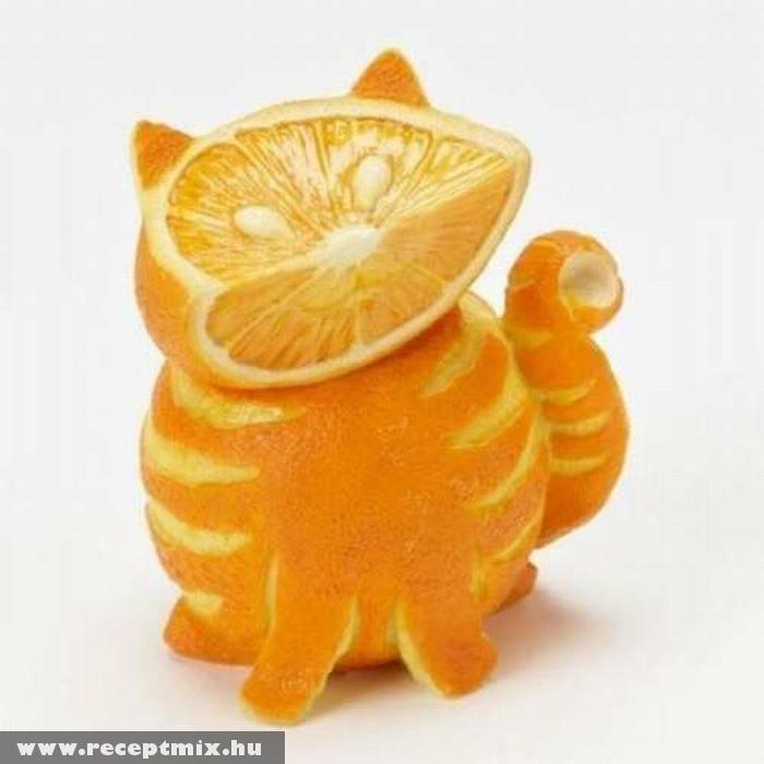 Macska narancsból