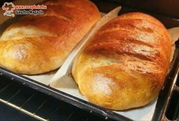 Friss kenyér