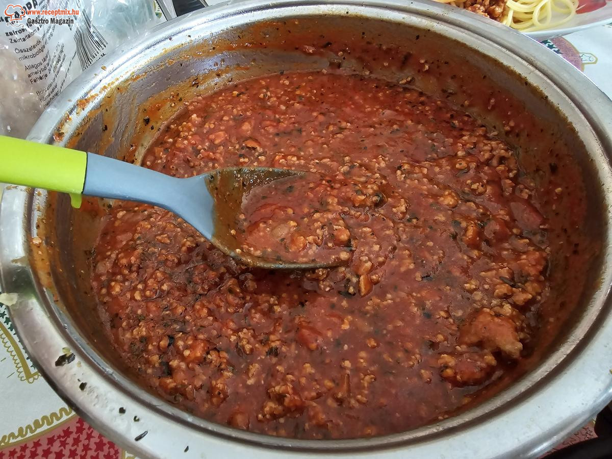 Bolognai hús alap