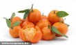 Mandarinok