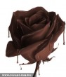 Csokoládé rózsa