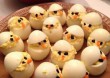 Nem csak húsvétra: főtt tojás variációk